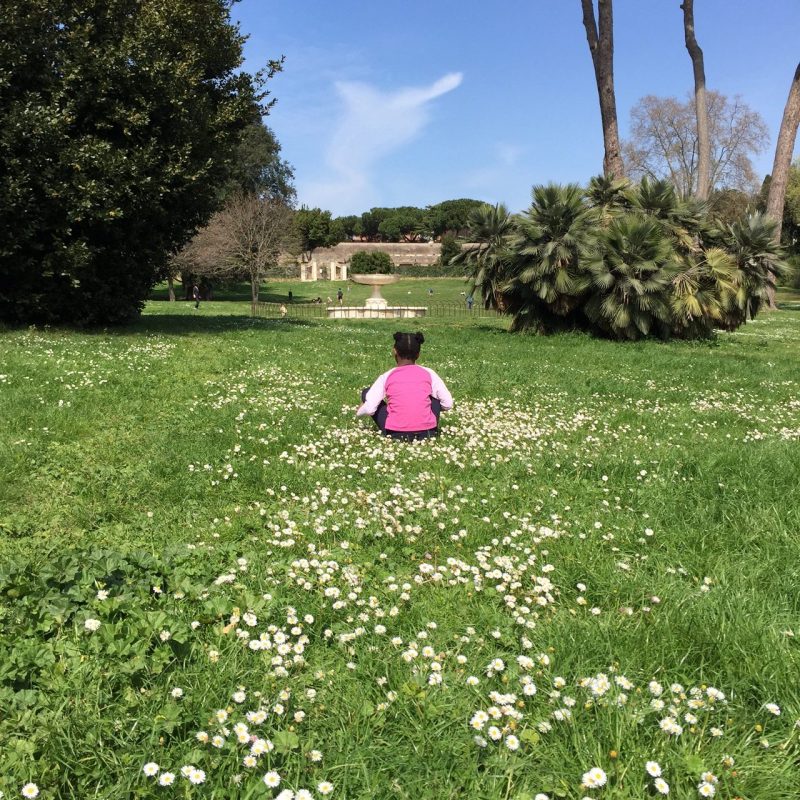 C. immersa in un campo di margherite