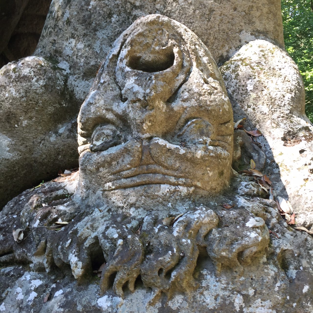Rabbia