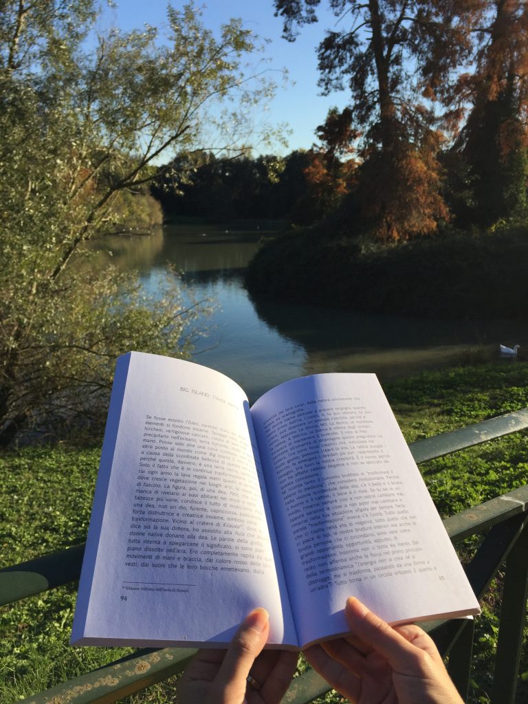 Un anno di Safari