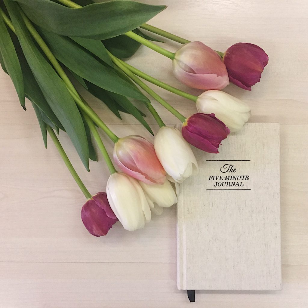 diario della gratitudine the five minute journal