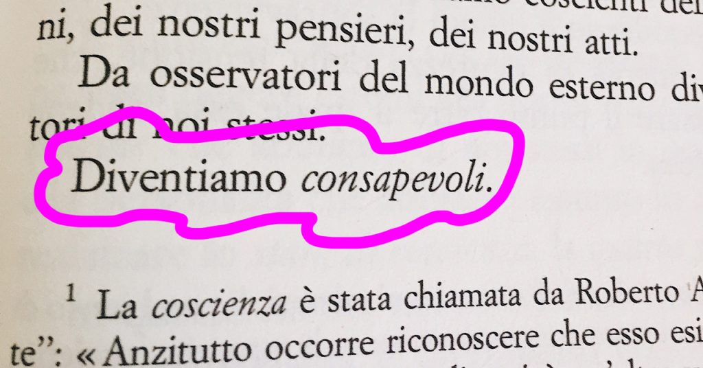 Alla ricerca delle coccole perdute dettaglio