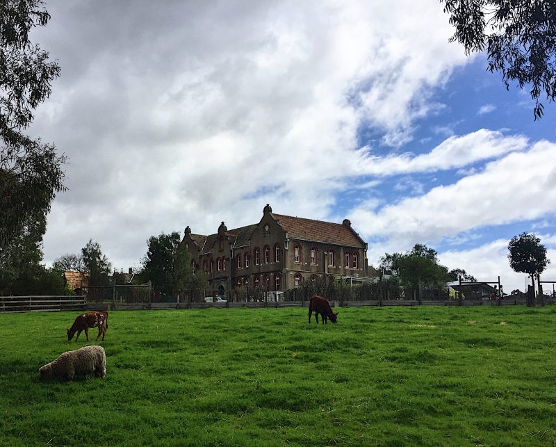 Collingwood Children’s Farm