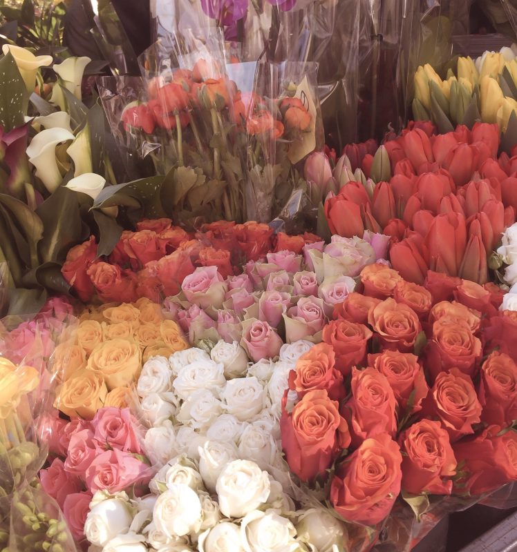 Fiori primaverili in bancarella simbolo di rinascita e scelta consapevole per la direzione del cuore