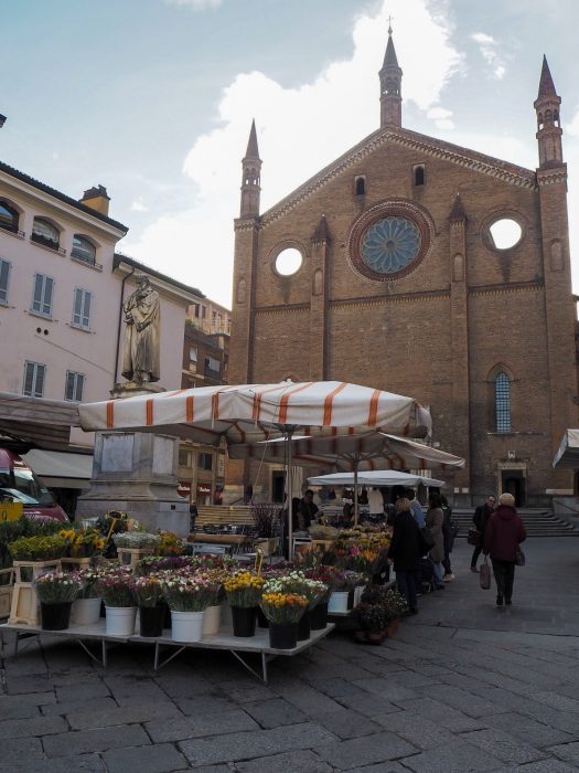 Chiesa San Francesco Piacenza in un giorno