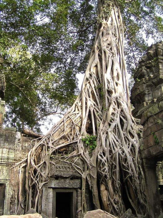 Ta Phrom