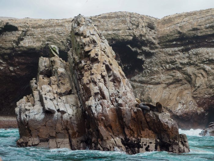 Islas Ballestas viaggio in Perù