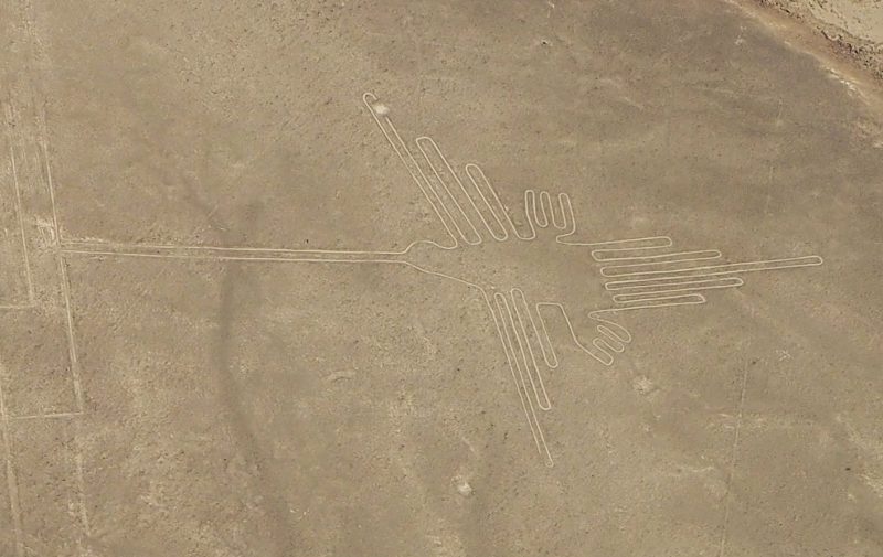 Colibrì Nazca