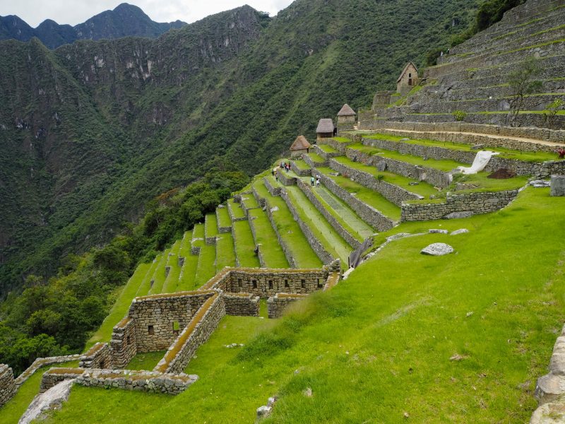 terrazze Machu Picchu
