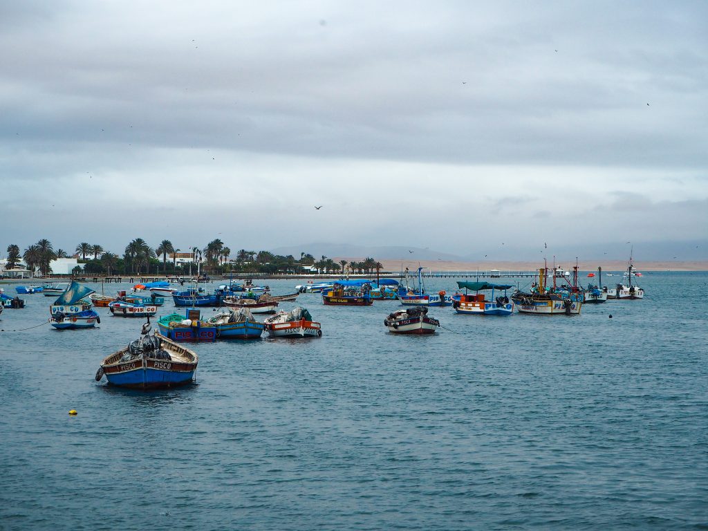 Porto Paracas Isoel Ballestas