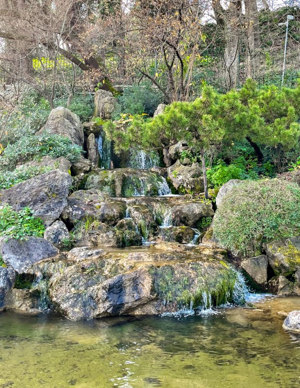 Giardino giapponese orto botanico Roma