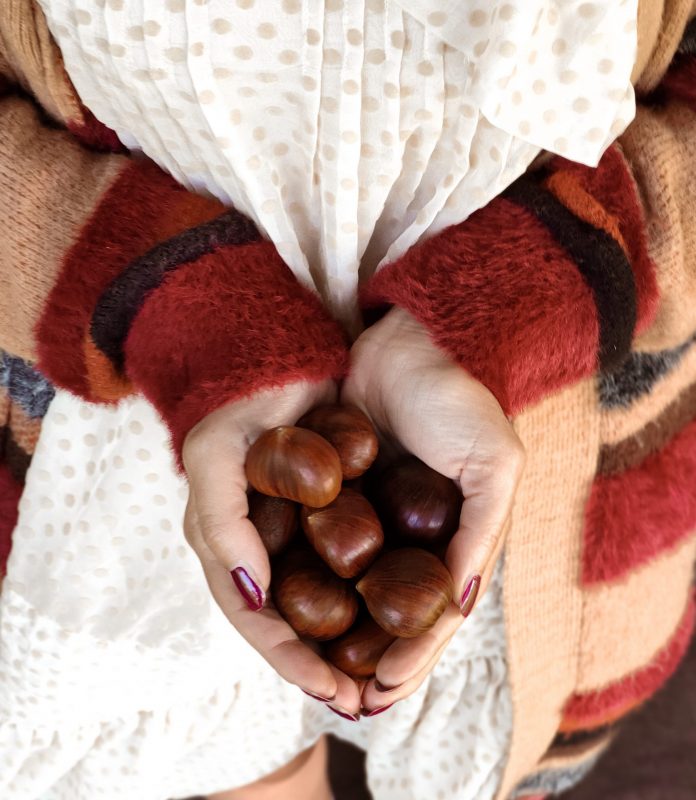 Castagne fresche autunnali tra i frutti simbolo di Mabon per celebrare il secondo raccolto