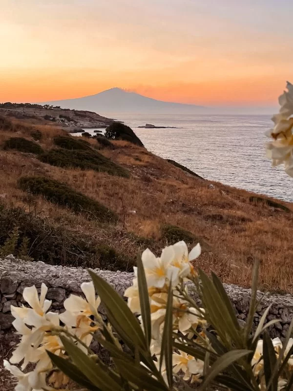 come viaggiare gratis in Italia e nel mondo