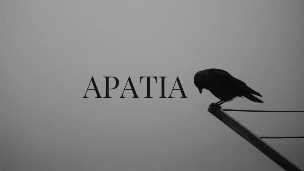 ombra uccellino apatia