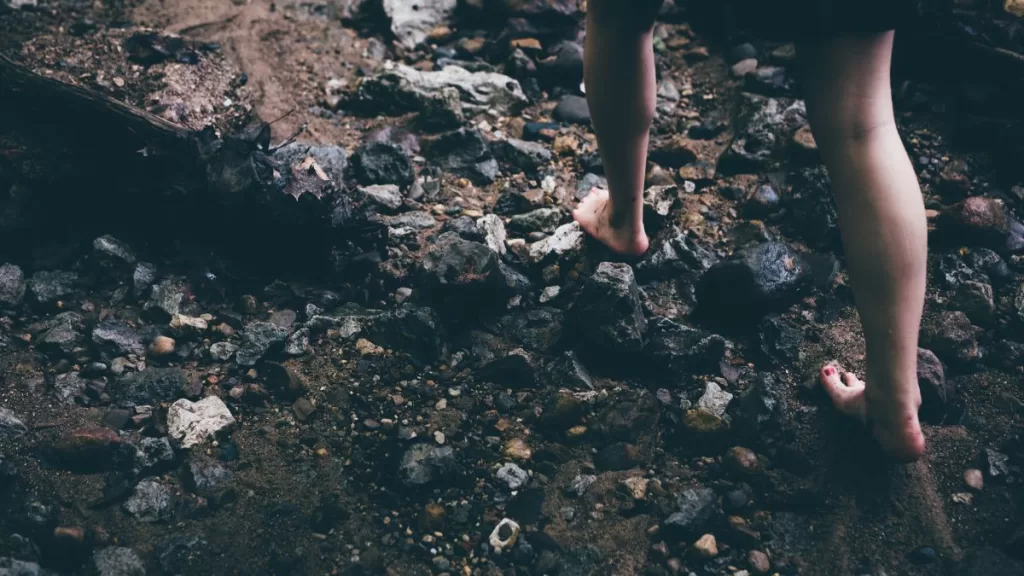 immagine copertina articolo meditazione camminata in natura