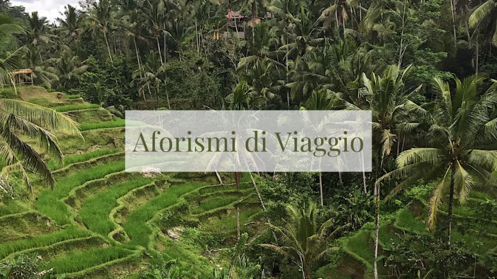 imm evidenza articolo aforismi di viaggio risaie Bali