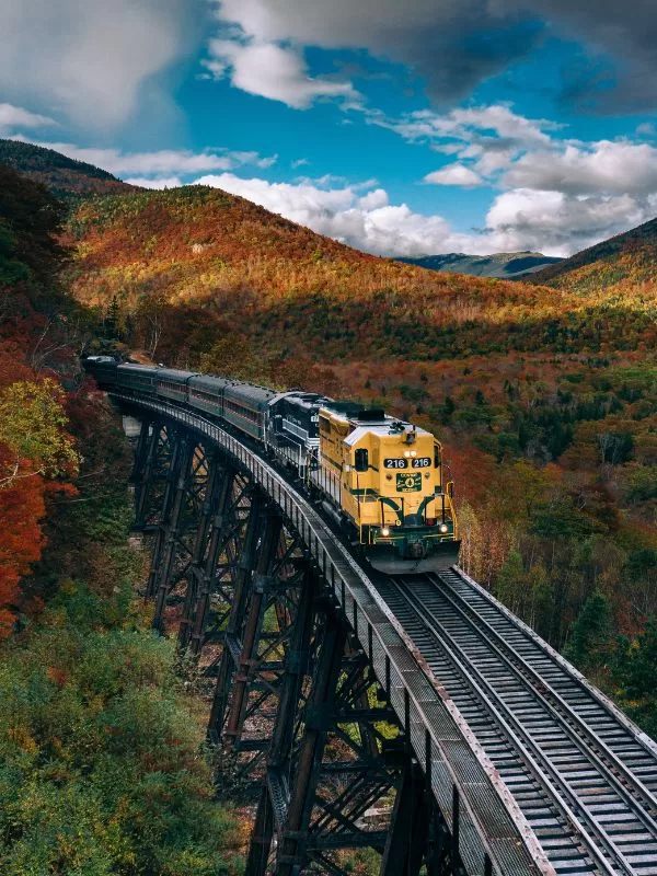 Viaggi in Treno negli Usa