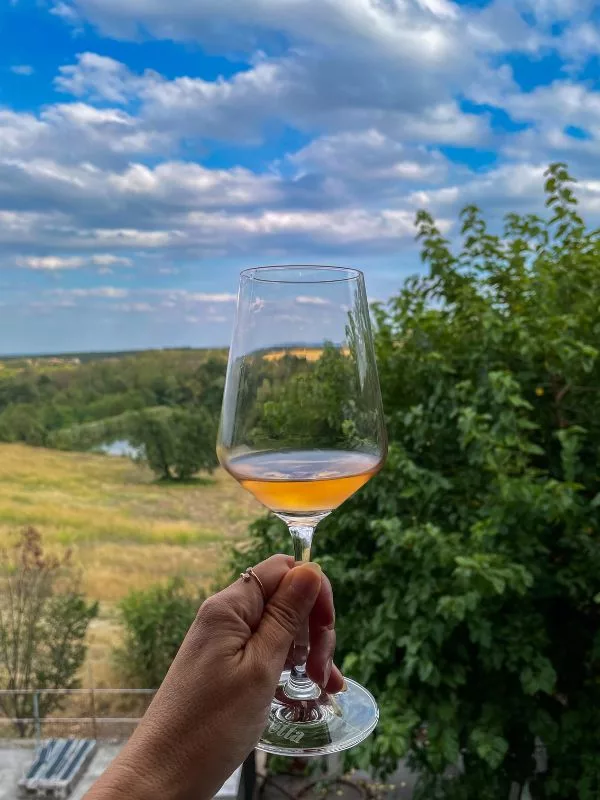 calice di vino cantine luretta colline piacentine