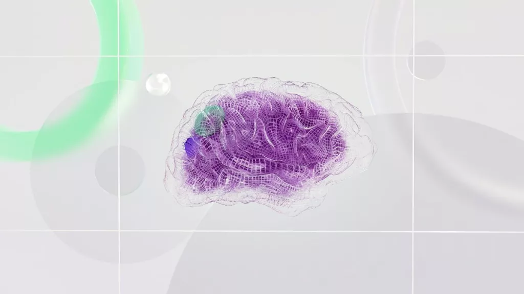 visualizzazione cervello
