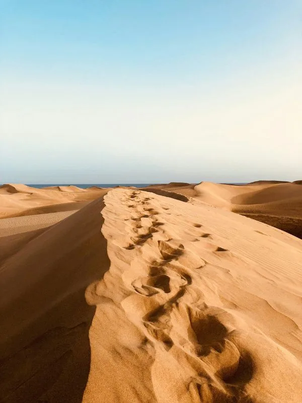 Dune di sabbia dorata di Maspalomas a Gran Canaria sotto cielo azzurro primaverile per una vacanza ad aprile