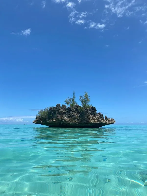 Spiaggia tropicale Mauritius palme acqua turchese Oceano Indiano maggio