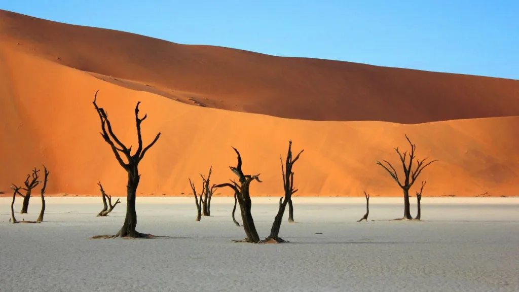 Namibia per una vacanza a novembre