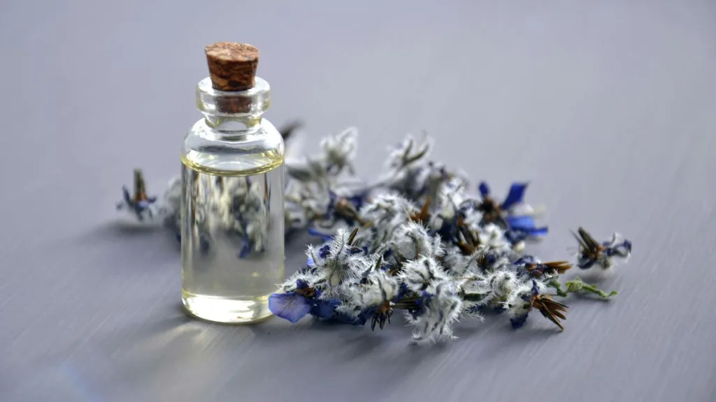 piante per aromaterapia